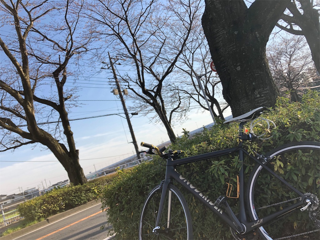 f:id:onoderider:20190405224007j:image