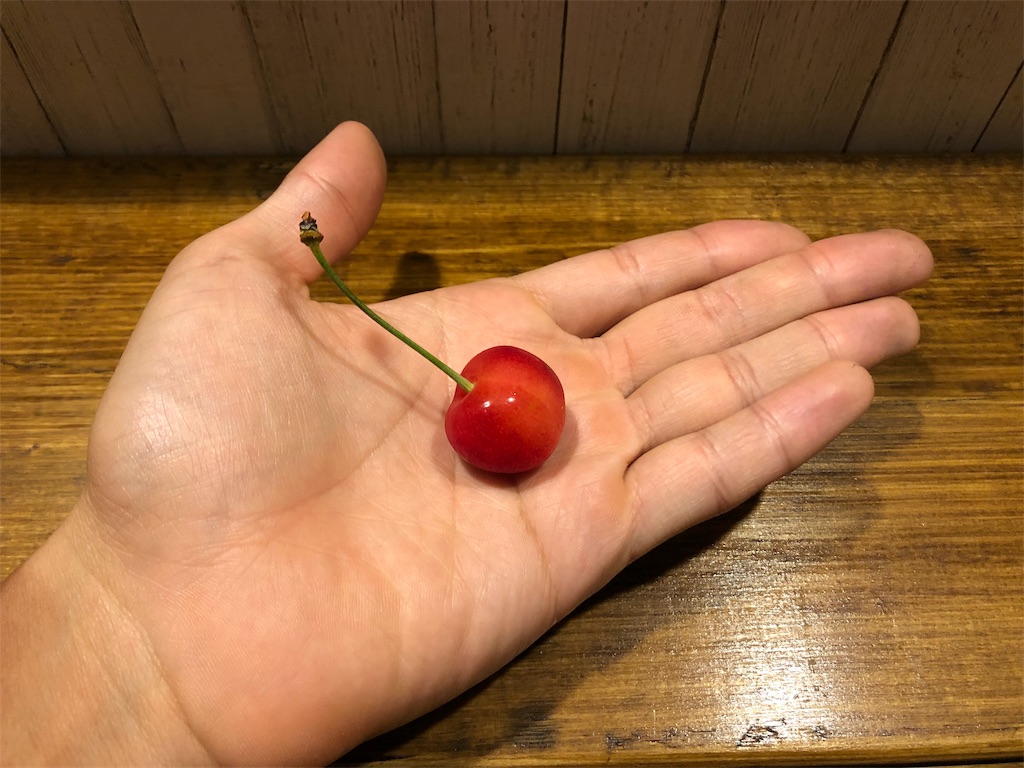 f:id:onoderider:20190621223340j:image