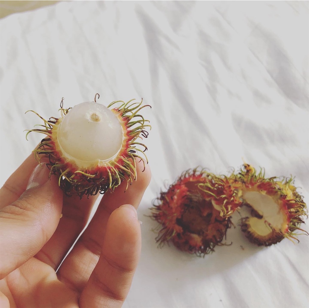 f:id:onoderider:20200205231532j:image f:id:onoderider:20200205231532j:image