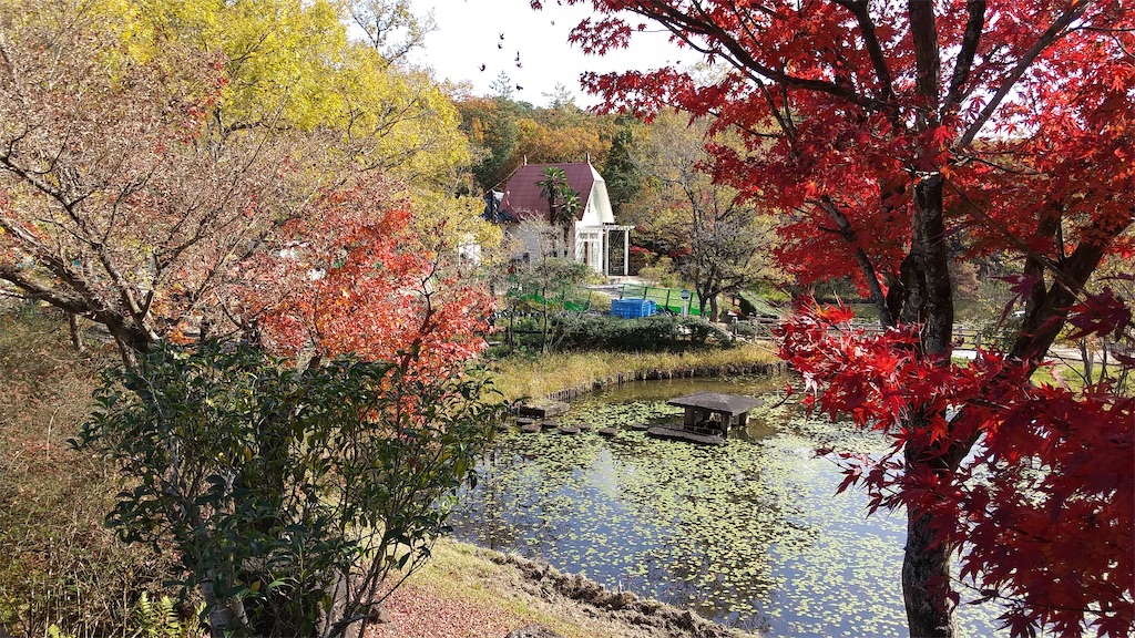 f:id:onoderider:20201118205112j:image