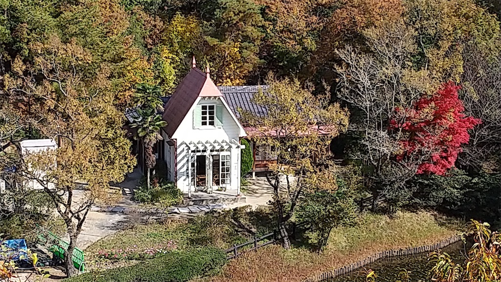 f:id:onoderider:20201118205115j:image