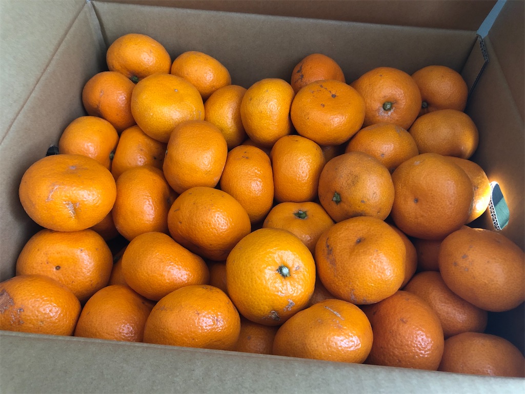 f:id:onoderider:20210303223537j:image