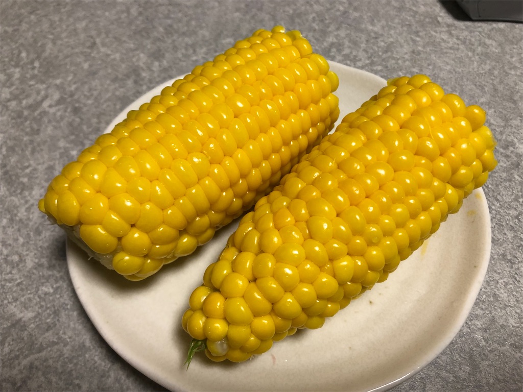 f:id:onoderider:20210831210502j:image