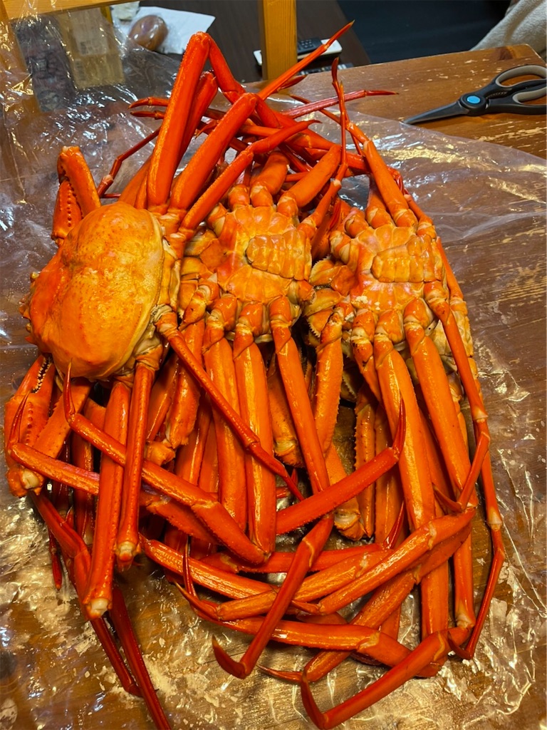 f:id:onoderider:20211227225755j:image f:id:onoderider:20211227225755j:image