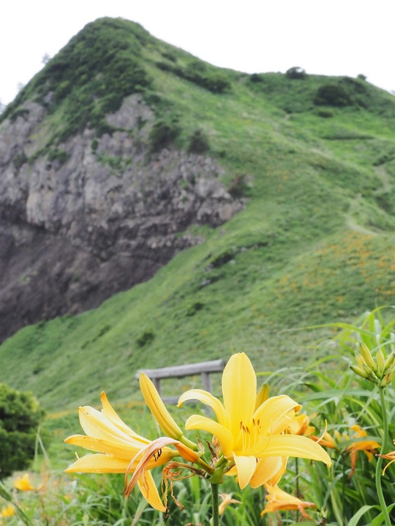 f:id:onoderider:20220606214005j:image