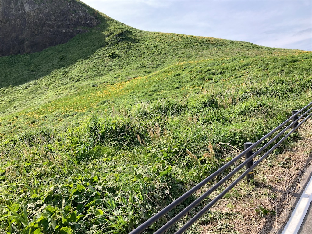 f:id:onoderider:20220606220006j:image