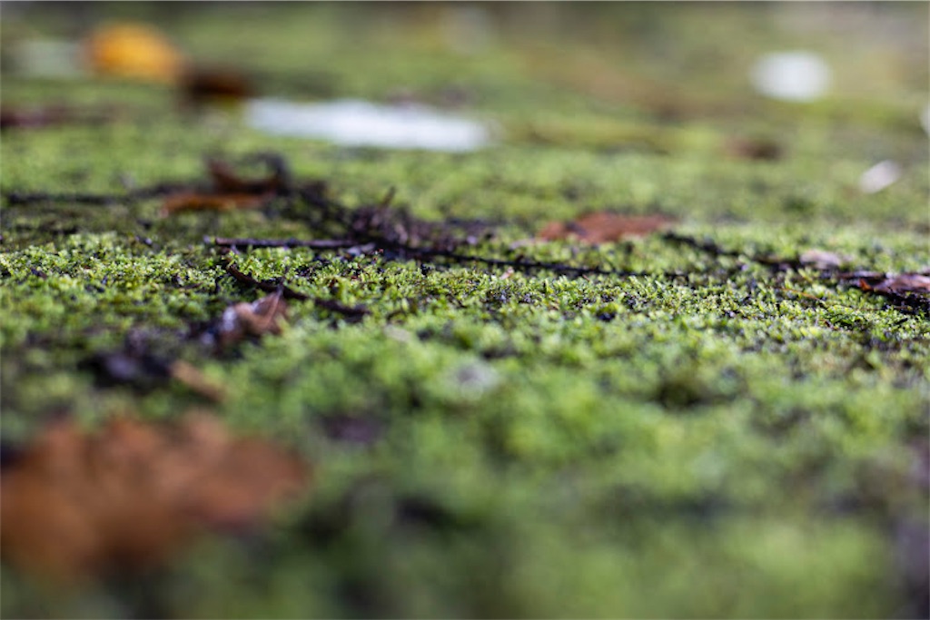 f:id:onoderider:20220903192358j:image f:id:onoderider:20220903192358j:image