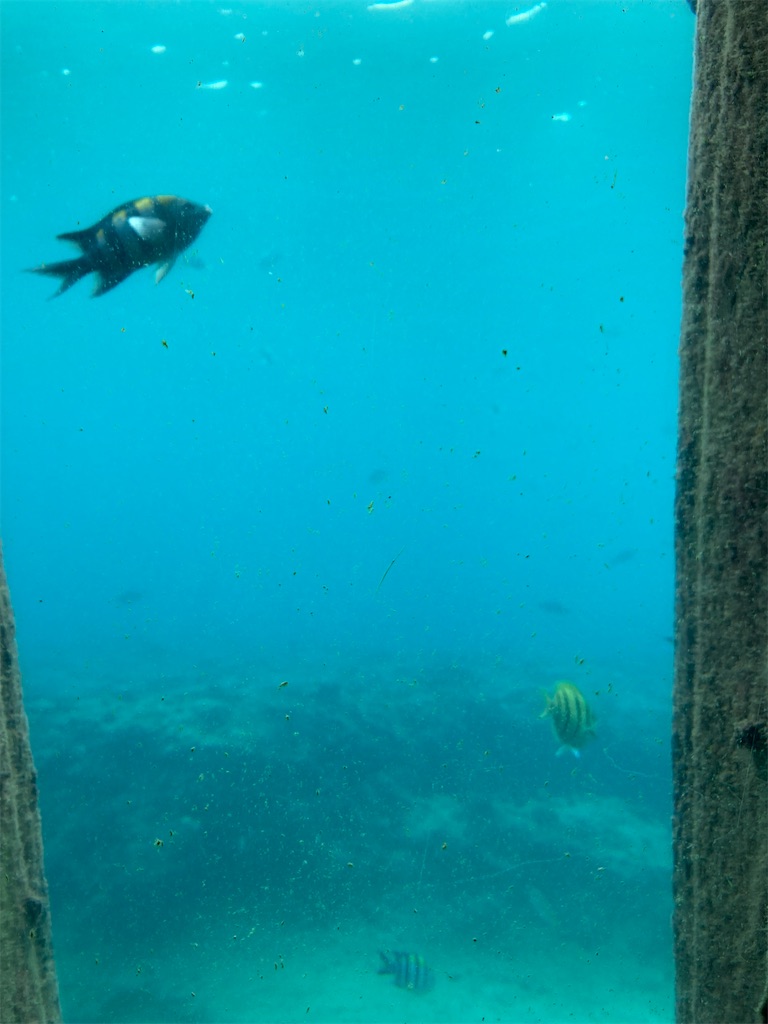 f:id:onoderider:20221116115155j:image