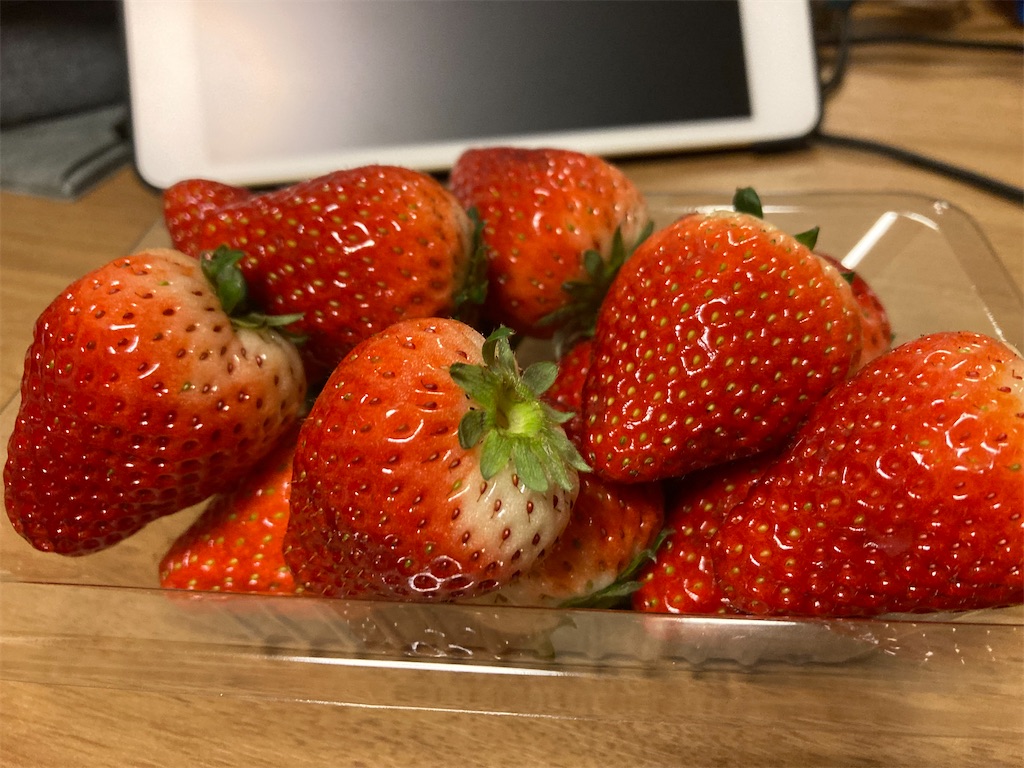 f:id:onoderider:20230325210844j:image