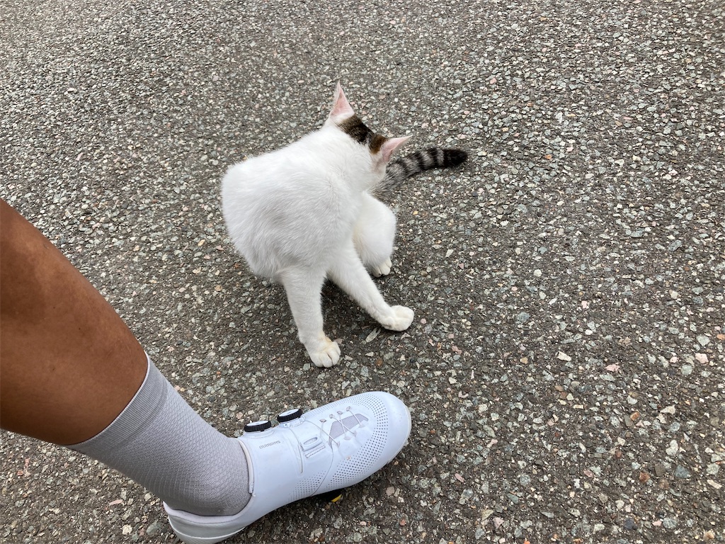 f:id:onoderider:20230704084617j:image