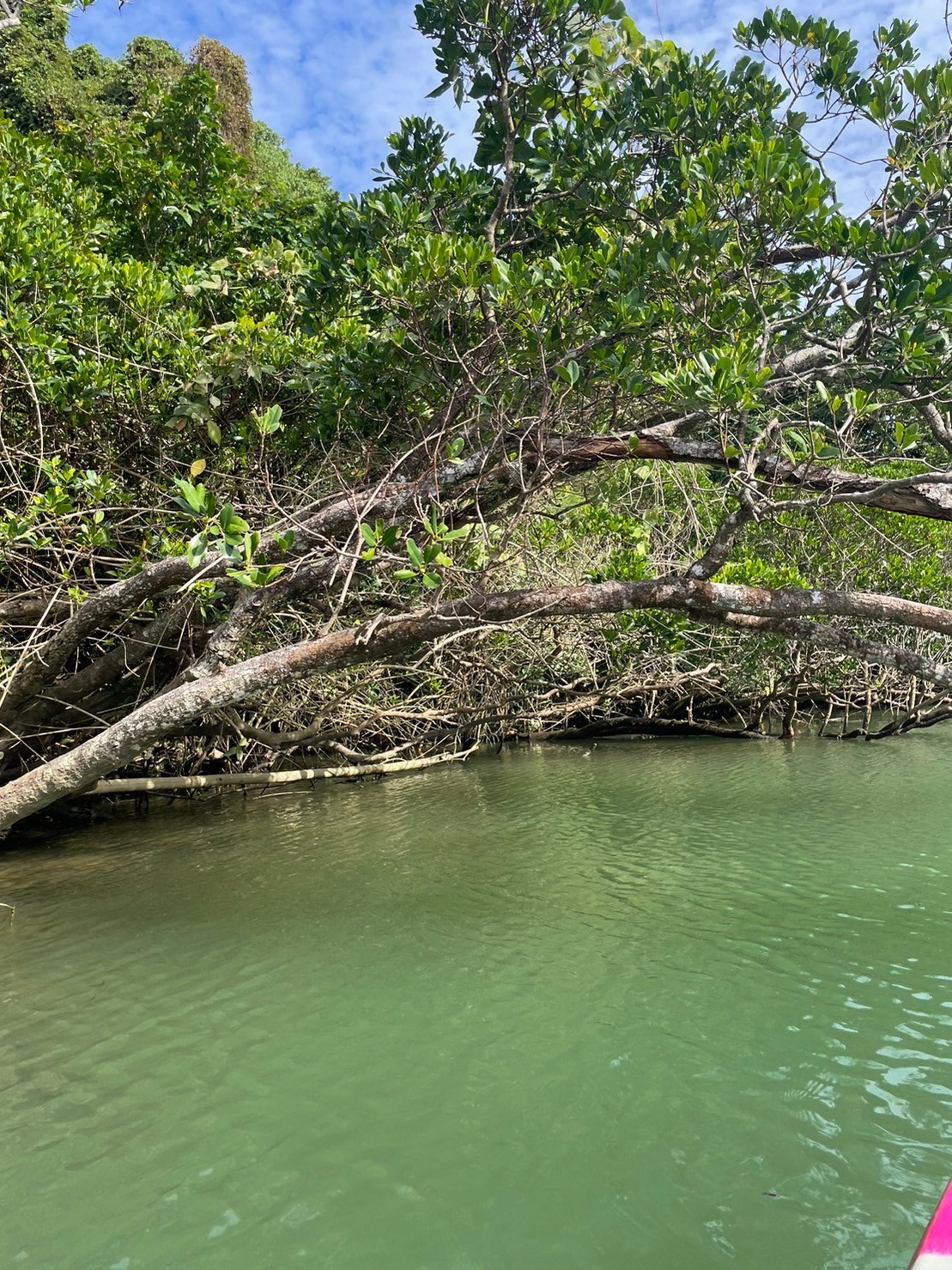 f:id:onoderider:20231118221327j:image