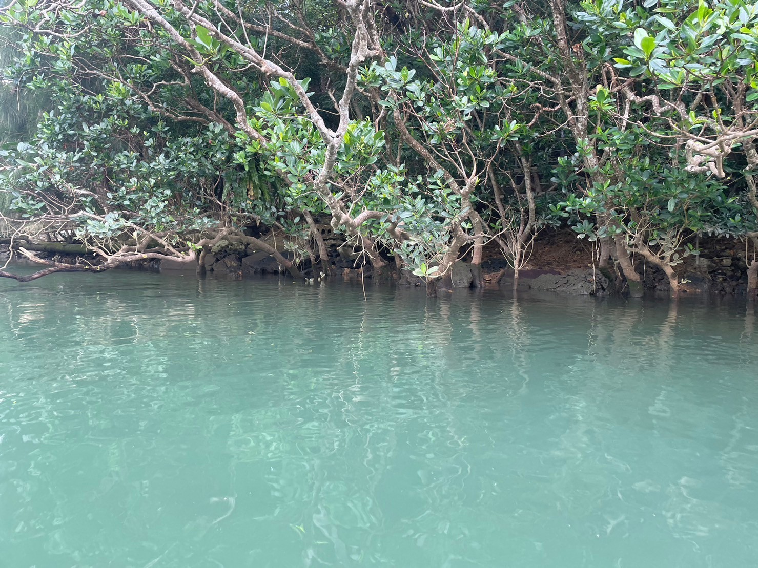 f:id:onoderider:20231118221346j:image