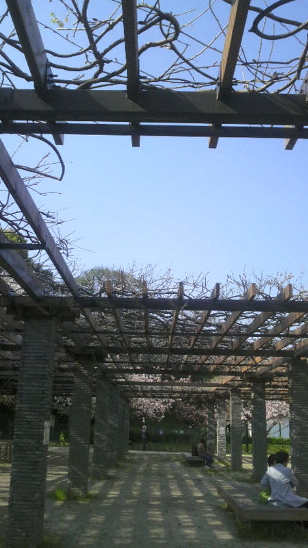 f:id:ononchi:20100405153900j:image