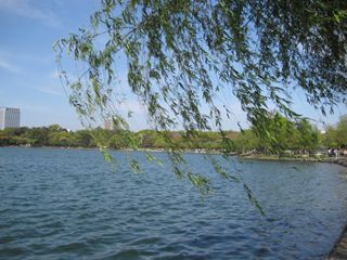 f:id:ononchi:20100425152044j:image