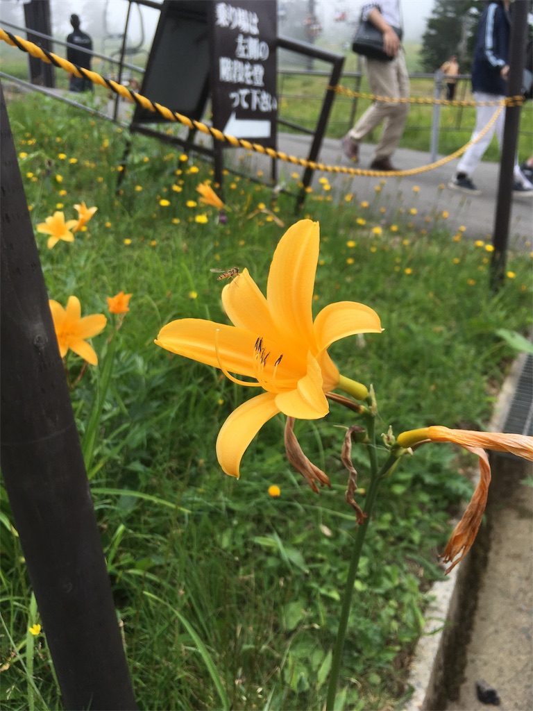 f:id:ononon3:20190819064303j:image f:id:ononon3:20190819064303j:image