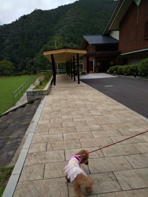 f:id:ononprg:20190910230452j:image f:id:ononprg:20190910230452j:image