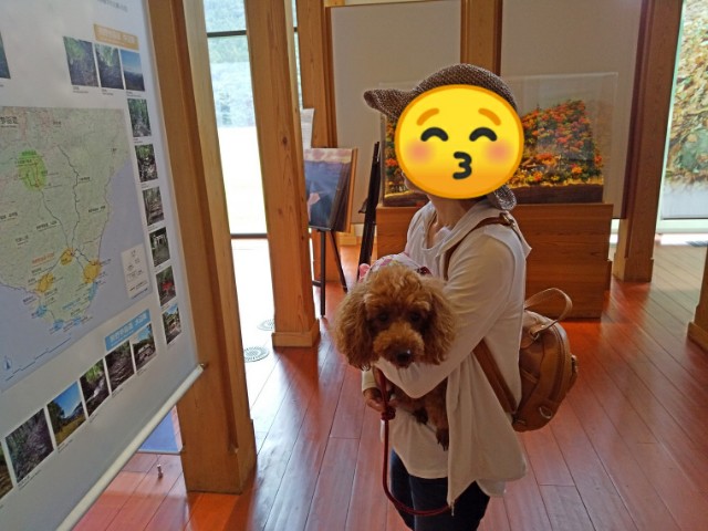 f:id:ononprg:20190910232415j:image f:id:ononprg:20190910232415j:image