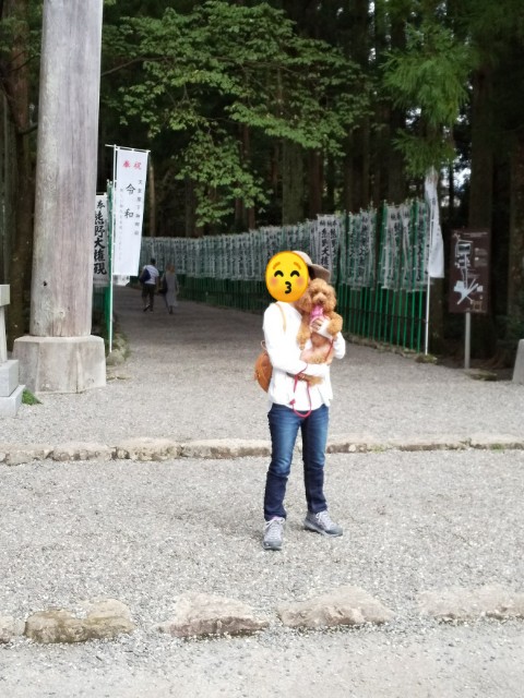 f:id:ononprg:20190910233934j:image f:id:ononprg:20190910233934j:image