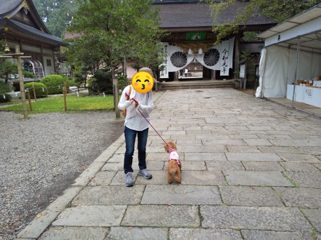 f:id:ononprg:20190910234140j:image f:id:ononprg:20190910234140j:image
