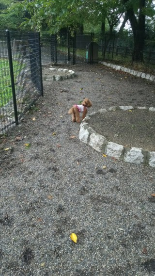 f:id:ononprg:20191007122111j:image