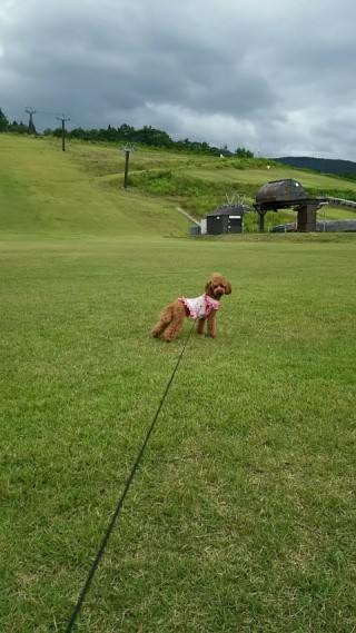 f:id:ononprg:20191009202225j:image