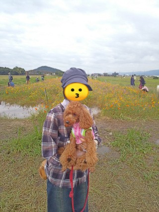 f:id:ononprg:20191023235620j:image