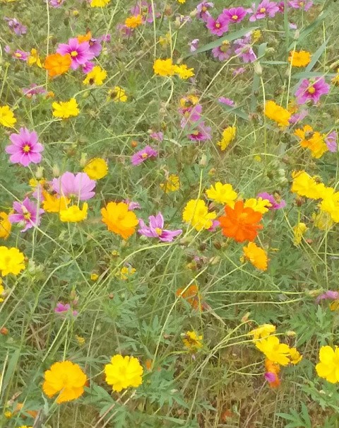 f:id:ononprg:20191023235637j:image