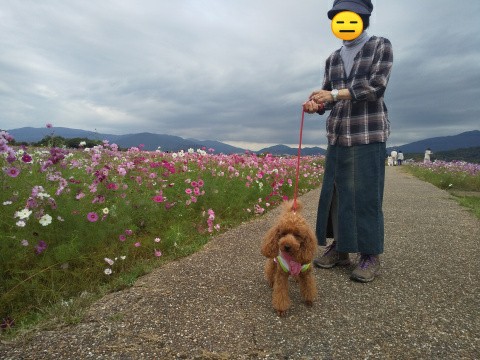 f:id:ononprg:20191024071521j:image