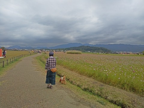 f:id:ononprg:20191024071559j:image
