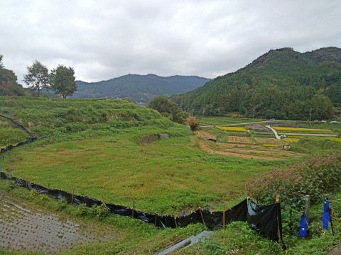 f:id:ononprg:20191024212201j:image