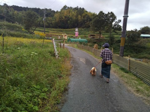 f:id:ononprg:20191024212232j:image