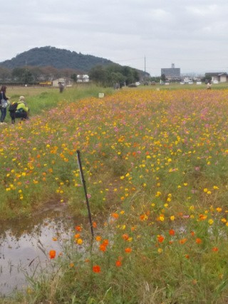 f:id:ononprg:20191024233338j:image