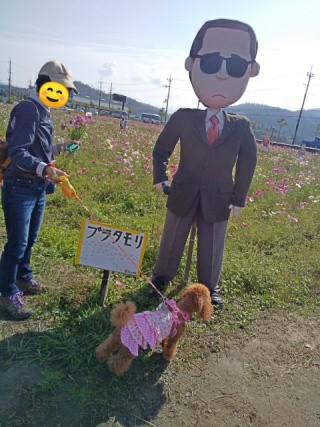 f:id:ononprg:20191028172607j:image
