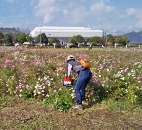 f:id:ononprg:20191028173935j:image