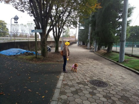 f:id:ononprg:20191028225537j:image