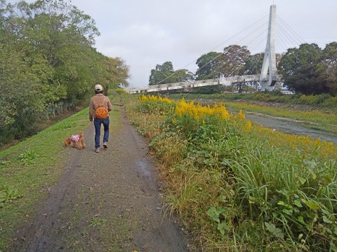f:id:ononprg:20191028225558j:image