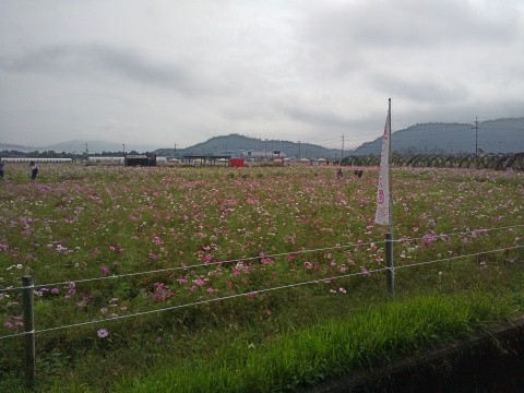 f:id:ononprg:20191028225648j:image