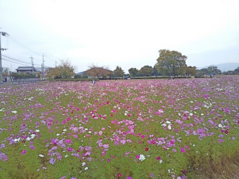 f:id:ononprg:20191103225024j:image