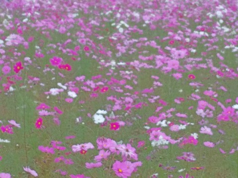 f:id:ononprg:20191103225305j:image