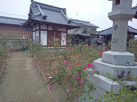 f:id:ononprg:20191103233348j:image