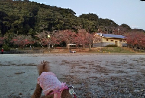 f:id:ononprg:20191117180254j:image