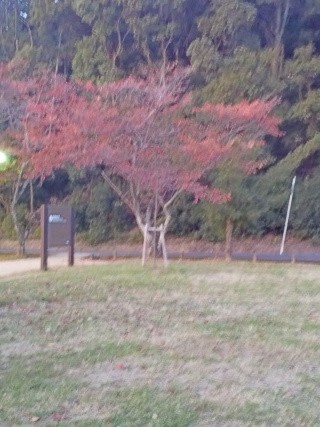 f:id:ononprg:20191117181047j:image