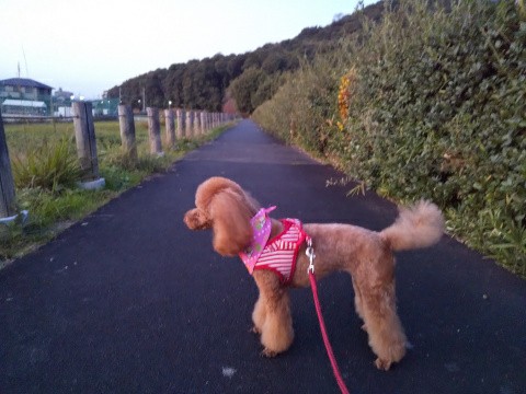 f:id:ononprg:20191117224104j:image