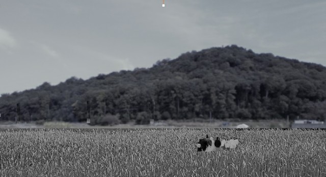 f:id:ononprg:20191119071951j:image