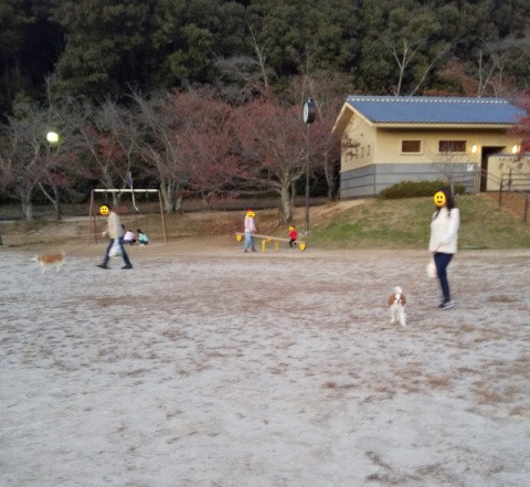 f:id:ononprg:20191119170240j:image