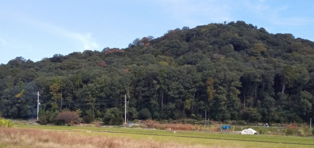 f:id:ononprg:20191119214111j:image