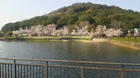 f:id:ononprg:20191120204020j:image