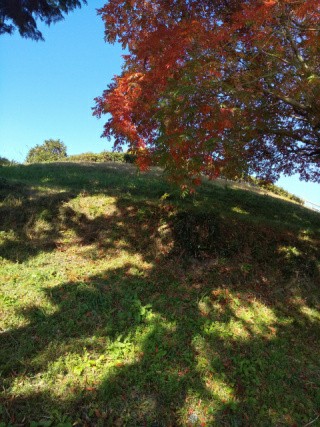 f:id:ononprg:20191125232803j:image