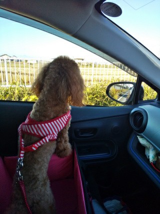 f:id:ononprg:20191126190644j:image