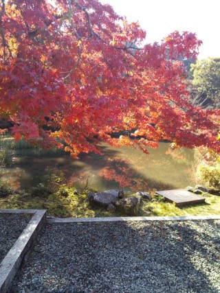 f:id:ononprg:20191127230022j:image